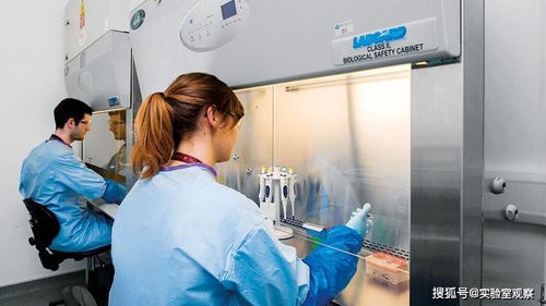 赛多利斯 一体化生物工艺解决方案，赋能从细胞到产品的卓越之旅